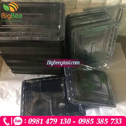 Nhà cung cấp hộp nhựa 4 ngăn giá rẻ