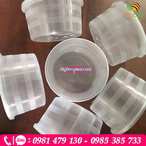 Hộp nhựa có giá thành rẻ giúp bạn nâng cao tính cạnh tranh Hộp nhựa có giá thành rẻ giúp bạn nâng cao tính cạnh tranh