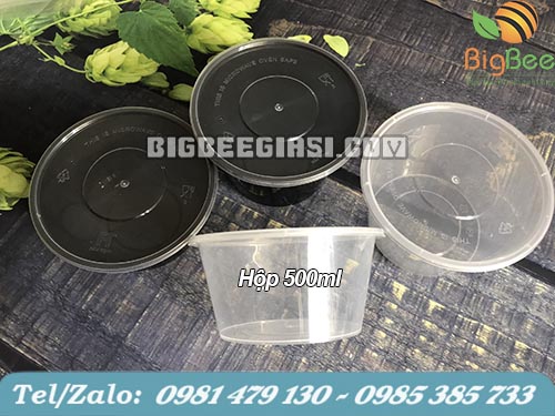 Hộp nhựa 500ml có nắp đựng bún, phở, hủ tiếu