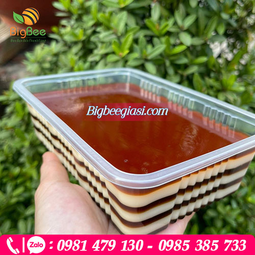 Hộp đựng rau câu đẹp mắt thu hút ánh nhìn Hộp đựng rau câu đẹp mắt thu hút ánh nhìn