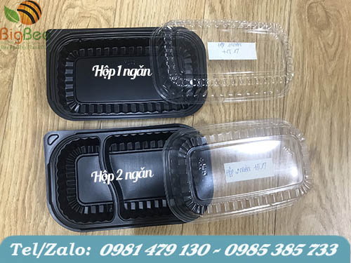 hộp nhựa đế đen ht17 1 ngăn và 2 ngăn