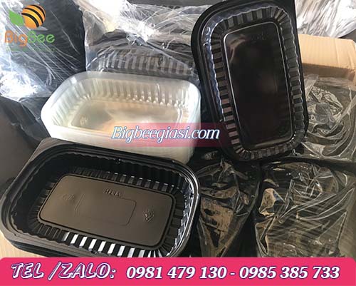 hộp nhựa đế đen nắp trong ht17