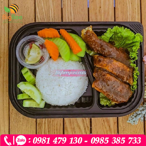 Hộp nhựa HT205 đựng cơm, đựng thức ăn mang đi Hộp nhựa HT205 đựng cơm, đựng thức ăn mang đi