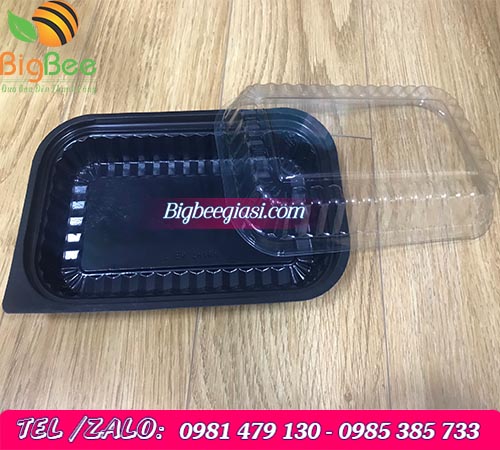 hộp nhựa đựng sushi có nắp đậy