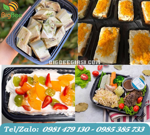 hộp nhựa đế đen đựng cơm, đựng thức ăn ht17