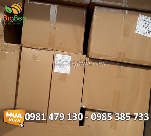 Hộp nhựa đế đen