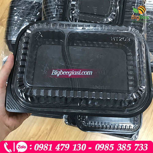 Hộp nhựa 2 ngăn Hộp nhựa 2 ngăn