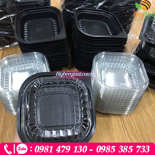 Hộp nhựa vuông đựng bánh tại xưởng Thu Hồng Hộp nhựa vuông đựng bánh tại xưởng Thu Hồng