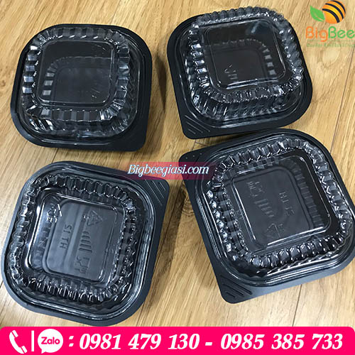 Hộp nhựa HT12 cứng cáp, tiện lợi để đựng các loại bánh Hộp nhựa HT12 cứng cáp, tiện lợi để đựng các loại bánh
