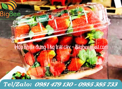 Hộp nhựa đựng 1kg trái cây Hộp nhựa đựng 1kg trái cây