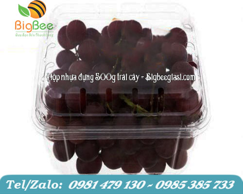 Hộp nhựa đựng 500g trái cây Hộp nhựa đựng 500g trái cây