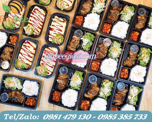 hộp nhựa đựng cơm dùng 1 lần giá rẻ