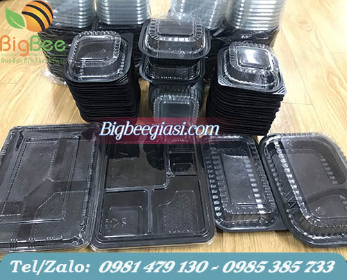 hộp nhựa đựng cơm mang đi các loại