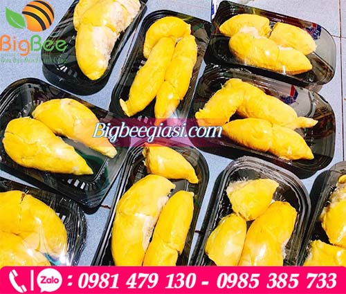 Hộp nhựa đen đựng sầu riêng mang đi