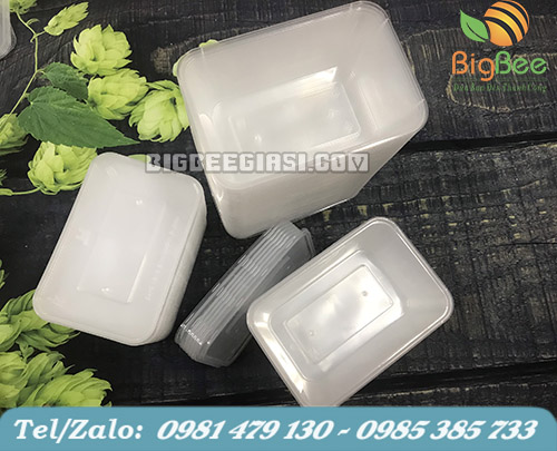 hộp nhựa đựng thực phẩm thông dụng hiện nay hộp nhựa đựng thực phẩm thông dụng hiện nay