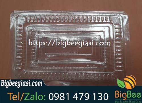 hộp nhựa h30 hộp nhựa H30