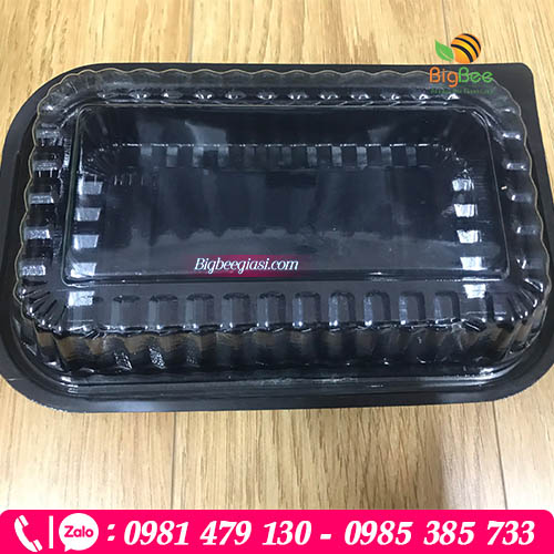 Hộp nhựa đen HT17 1 ngăn Hộp nhựa đen HT17 1 ngăn