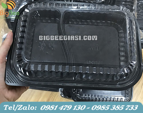 hộp nhựa đế đen 2 ngăn ht17