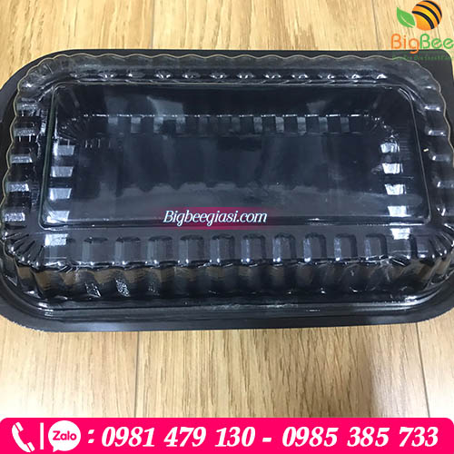 Hộp nhựa 1 ngăn nhỏ Hộp nhựa 1 ngăn nhỏ