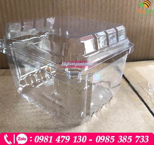 Hộp nhựa P500D Hộp nhựa P500D