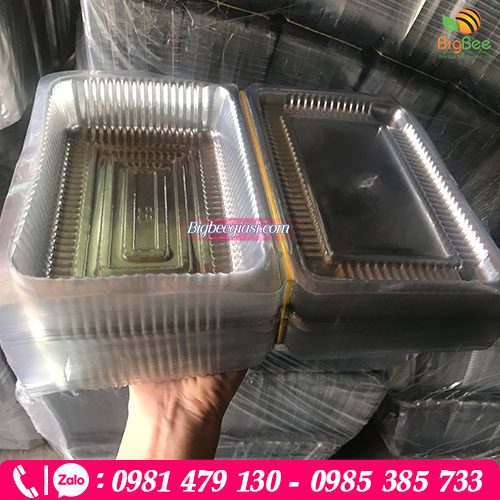 Hộp pet trong đựng trái cây bóc sẵn Hộp pet trong đựng trái cây bóc sẵn