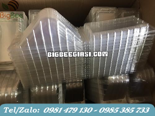 cung cấp hộp nhựa tam giác h133 giá sỉ