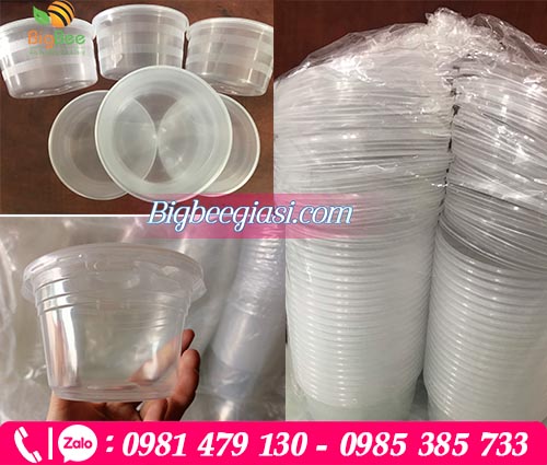 Hộp nhựa tròn 500ml