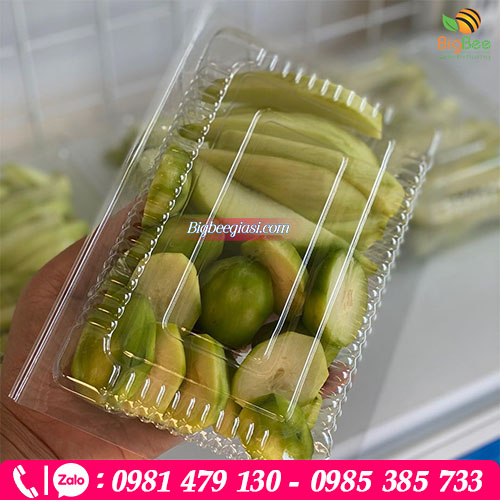 Hộp nhựa pet đựng trái cây cắt sẵn Hộp nhựa pet đựng trái cây cắt sẵn