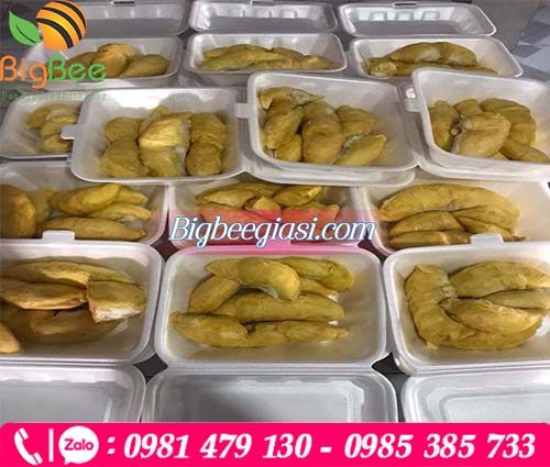 Hộp xốp đựng sầu riêng tách múi sẵn