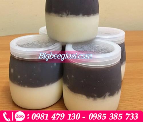 Hộp đựng sữa chua