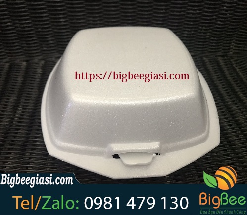 hộp xốp đựng bánh bao-01