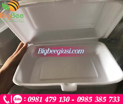 Mẫu hộp xốp đựng múi sầu riêng