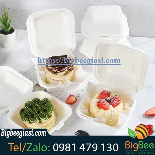 hộp xốp vuông hộp xốp vuông