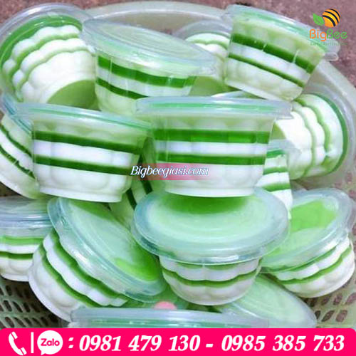 Hộp làm rau câu hoa mai với tạo hình đẹp bắt mắt Hộp làm rau câu hoa mai với tạo hình đẹp bắt mắt