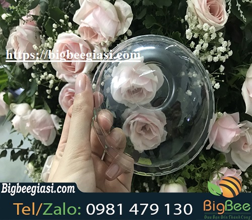 nắp cầu 93mm nắp cầu 93mm