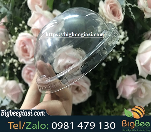 nắp cầu 93mm nắp cầu phi 93mm