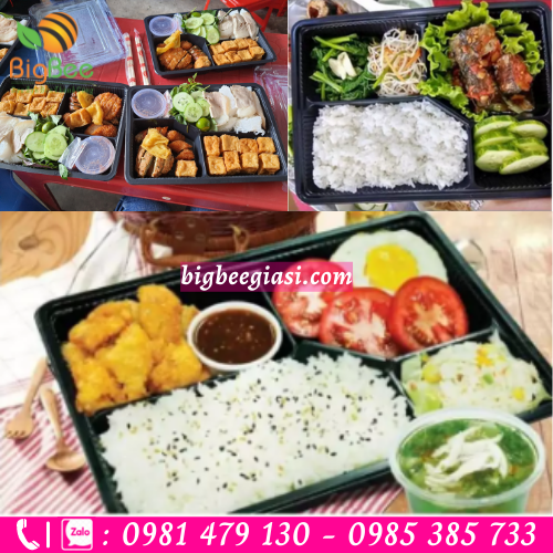 Khay nhựa 4 ngăn HT25 đựng thực phẩm sang trọng