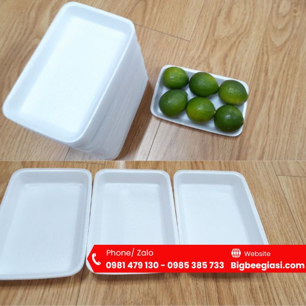 Khay xốp đựng 6 trái chanh Khay xốp đựng 6 trái chanh
