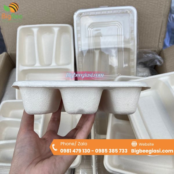 Khay bã mía 4 ngăn có nắp đậy Khay bã mía 4 ngăn có nắp đậy