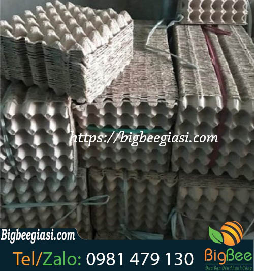 khay đựng trứng bằng giấy giá sỉ khay đựng trứng bằng giấy giá sỉ