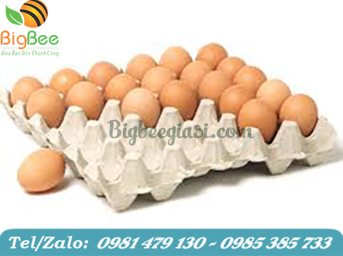 khay giấy đựng trứng gà 30 lỗ