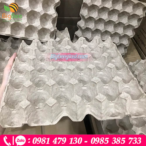 Đặt hàng giao ngay Đặt hàng giao ngay