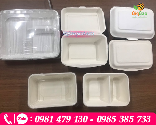 Khay hộp bã mía nhiều ngăn Khay hộp bã mía nhiều ngăn