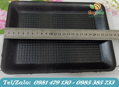 mẫu khay xốp m18