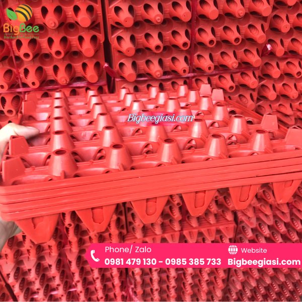 Mẫu khay vỉ nhựa đựng trứng gà vịt 30 quả màu đỏ Mẫu khay vỉ nhựa đựng trứng gà vịt 30 quả màu đỏ