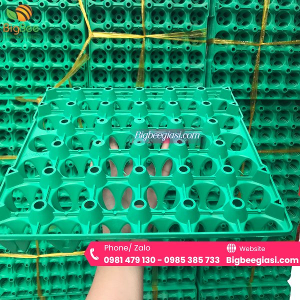 Mẫu khay vỉ nhựa đựng trứng gà vịt 30 quả màu xanh lá Mẫu khay vỉ nhựa đựng trứng gà vịt 30 quả màu xanh lá