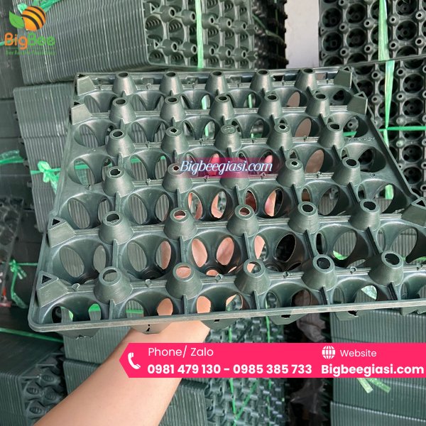 Mẫu khay vỉ nhựa đựng trứng gà vịt 30 quả màu xanh rêu Mẫu khay vỉ nhựa đựng trứng gà vịt 30 quả màu xanh rêu