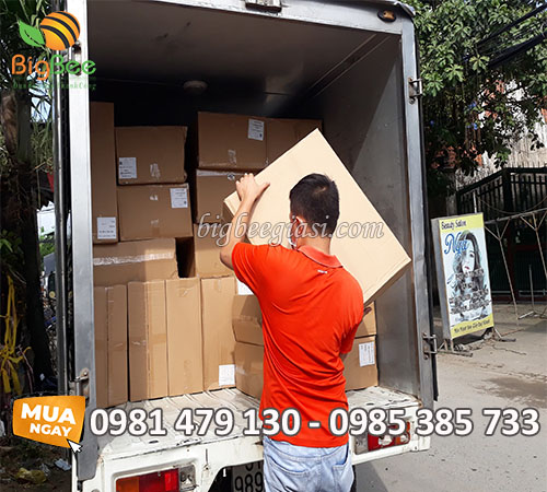 Khay nhựa đế đen sỉ rẻ