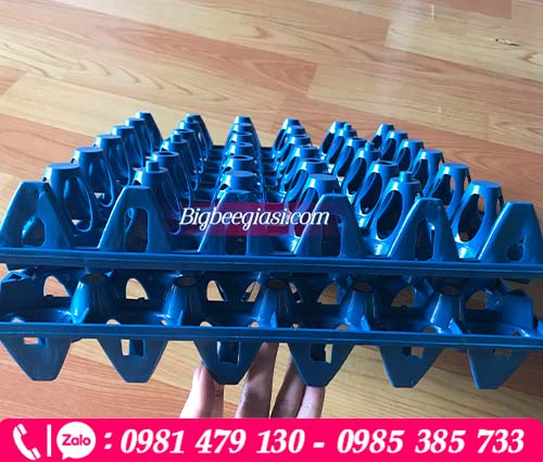 Khay nhựa pp đựng trứng