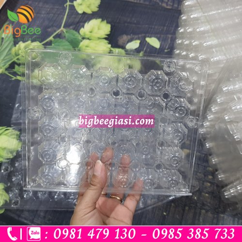 Khay nhựa đựng trứng cút